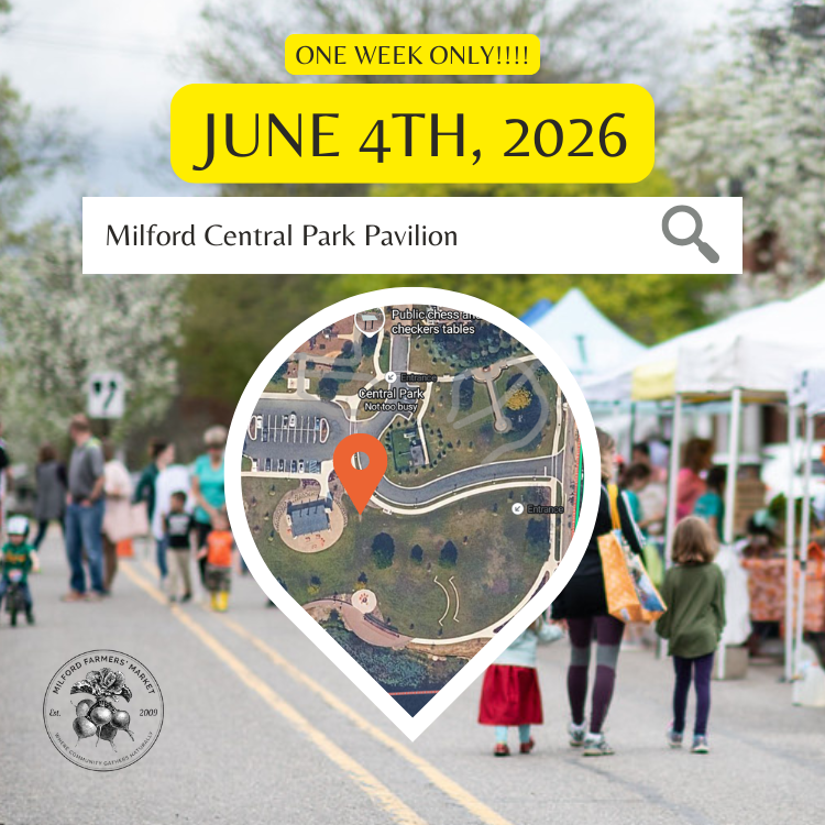JUNE 4th CENTRAL PARK